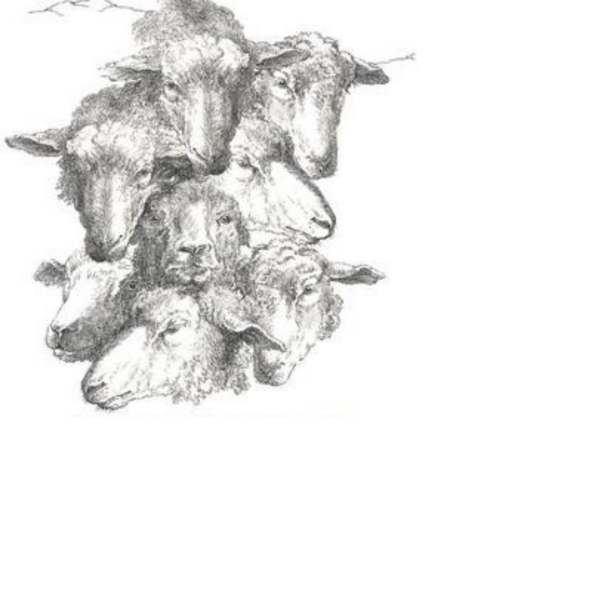 Schrijfreis de goede herder