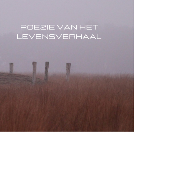 Poëziereis, met coaching
