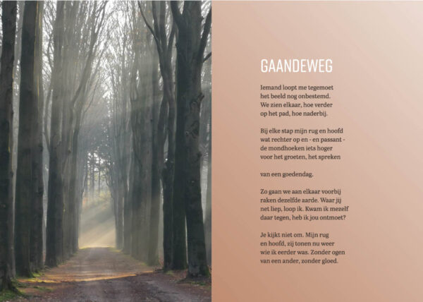 Set met 5 kaarten uit Vindersloon - Afbeelding 3