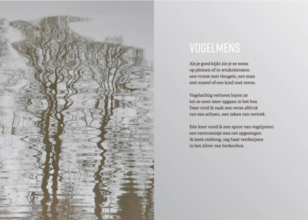 Set met 5 kaarten uit Vindersloon - Afbeelding 6